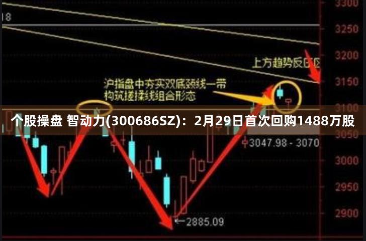 个股操盘 智动力(300686SZ)：2月29日首次回购1488万股